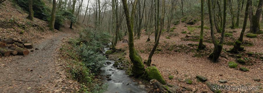 Termal Ormanl�k Alan�