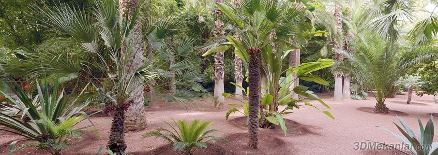 Majorelle Botanik Bah�esi