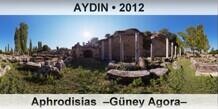 AYDIN Aphrodisias  �G�ney Agora�