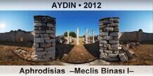 AYDIN Aphrodisias  �Meclis Binas� I�