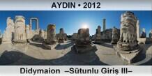 AYDIN Didymaion  �S�tunlu Giri� III�