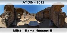 AYDIN Milet  �Roma Hamam� II�