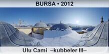 BURSA Ulu Cami  �Kubbeler III�
