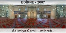 ED�RNE Selimiye Camii  �Mihrab�