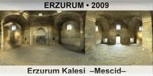 ERZURUM Erzurum Kalesi  �Mescid�