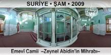 SUR�YE � �AM Emev� Camii  �Zeynel Abidin'in Mihrab��