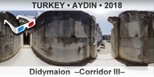 TURKEY • AYDIN Didymaion  –Corridor III–